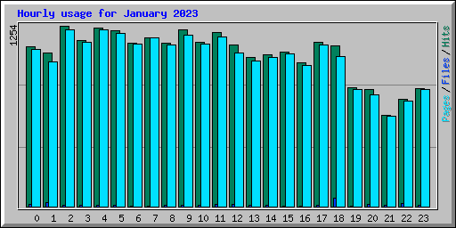 Hourly usage for January 2023